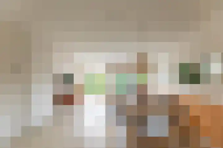 Molenlaan 15 Groot-Ammers thumbnail 12
