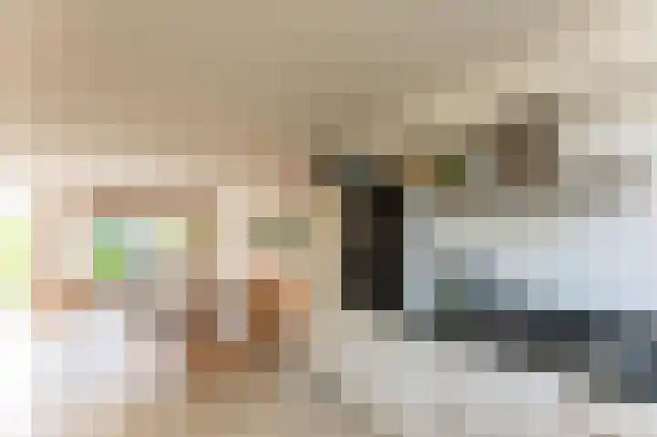 Molenlaan 15 Groot-Ammers thumbnail 13