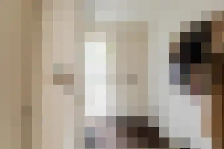 Molenlaan 15 Groot-Ammers thumbnail 15
