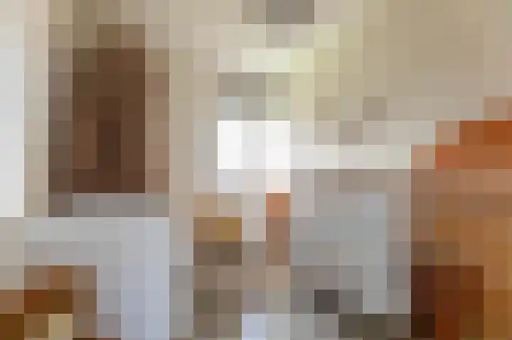 Molenlaan 15 Groot-Ammers thumbnail 21