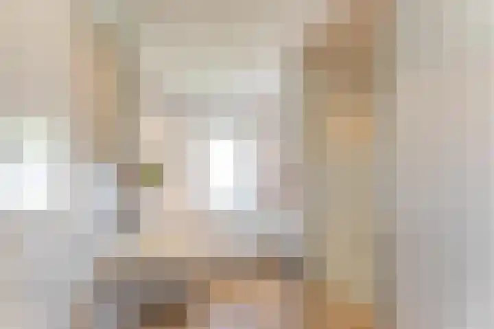 Molenlaan 15 Groot-Ammers thumbnail 25