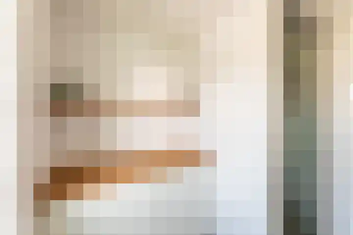 Molenlaan 15 Groot-Ammers thumbnail 29