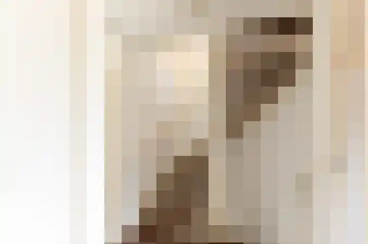 Molenlaan 15 Groot-Ammers thumbnail 30