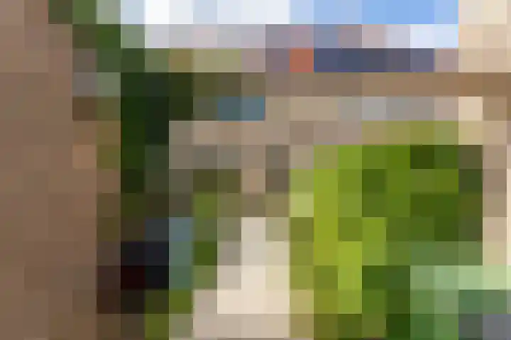Molenlaan 15 Groot-Ammers thumbnail 38