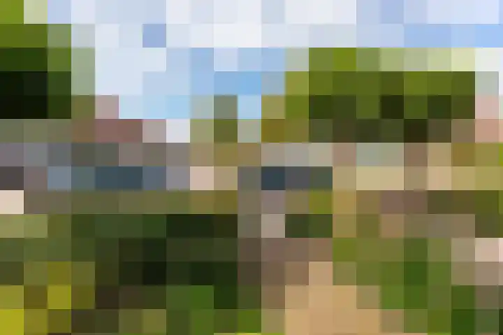 Molenlaan 15 Groot-Ammers thumbnail 4