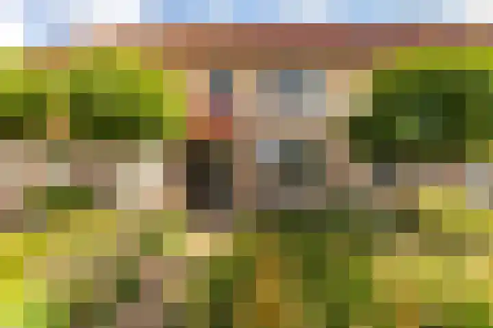 Molenlaan 15 Groot-Ammers thumbnail 42