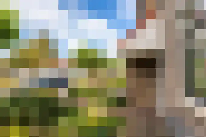 Molenlaan 15 Groot-Ammers thumbnail 44