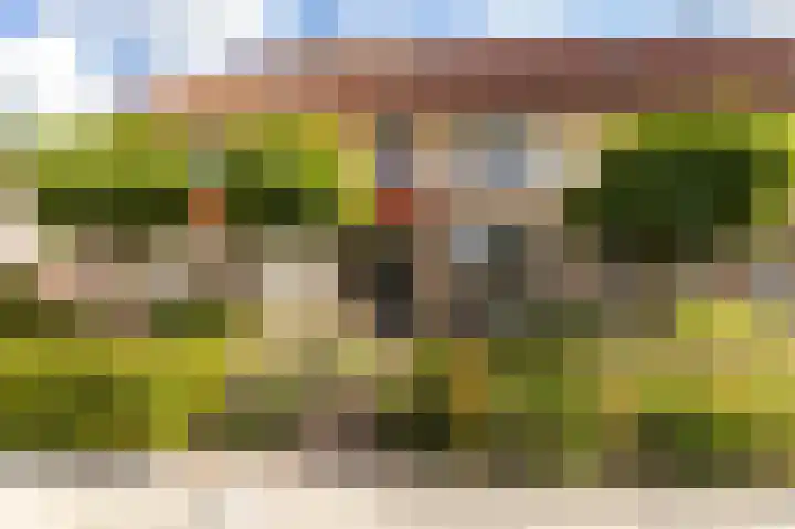 Molenlaan 15 Groot-Ammers thumbnail 51