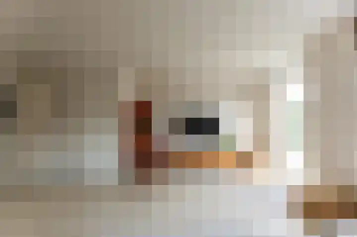 Molenlaan 15 Groot-Ammers thumbnail 9