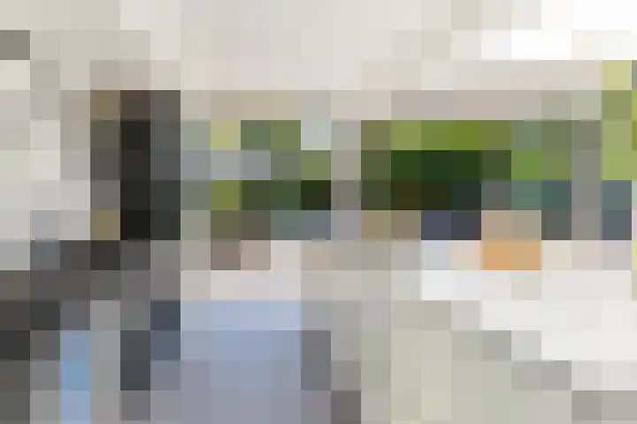 Molenlaan 15 Rotterdam thumbnail 14