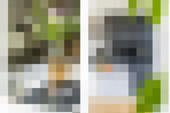 Molenlaan 15 Rotterdam thumbnail 15
