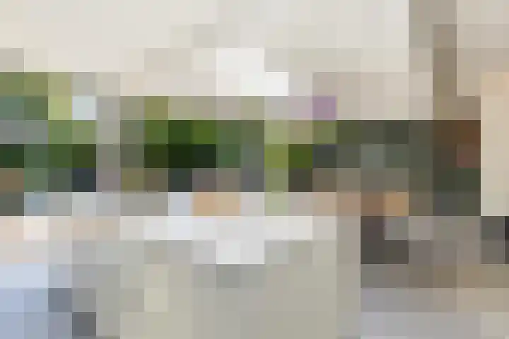 Molenlaan 15 Rotterdam thumbnail 16