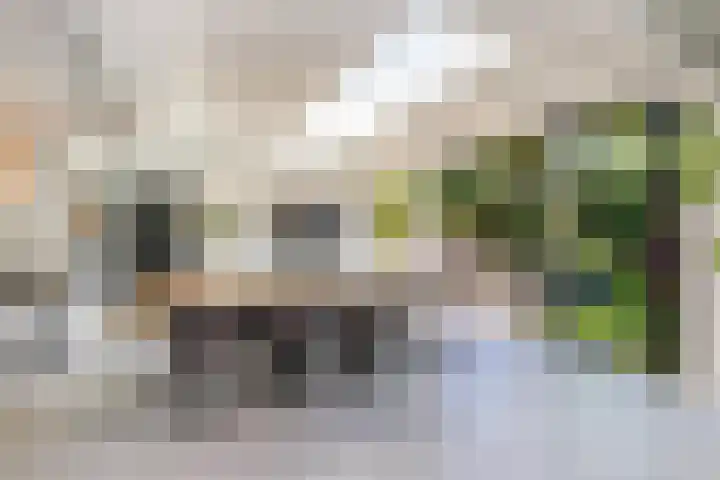 Molenlaan 15 Rotterdam thumbnail 17