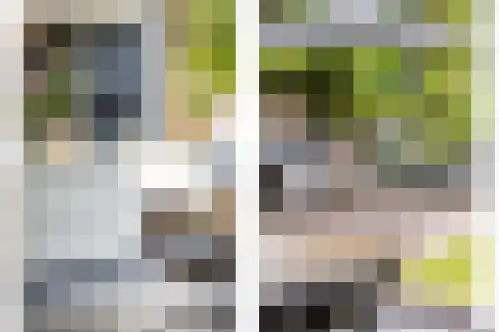 Molenlaan 15 Rotterdam thumbnail 20