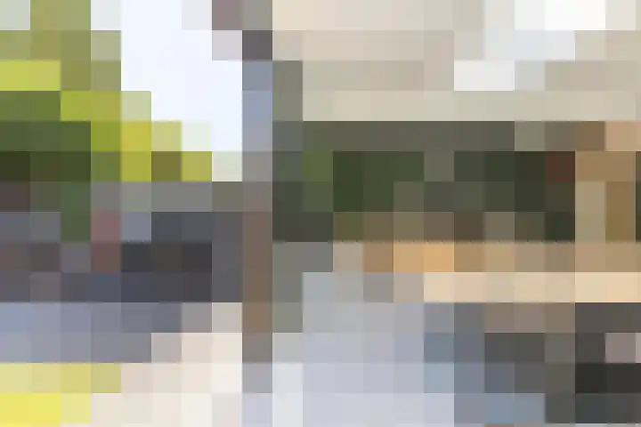 Molenlaan 15 Rotterdam thumbnail 21