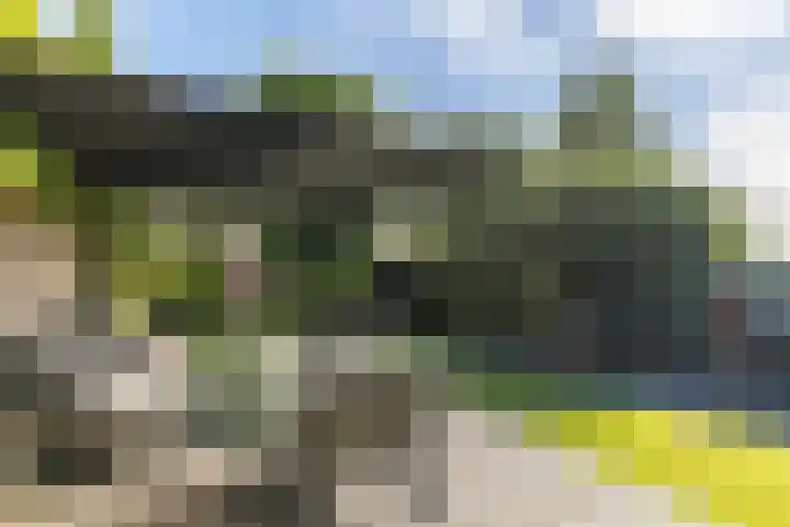 Molenlaan 15 Rotterdam thumbnail 24
