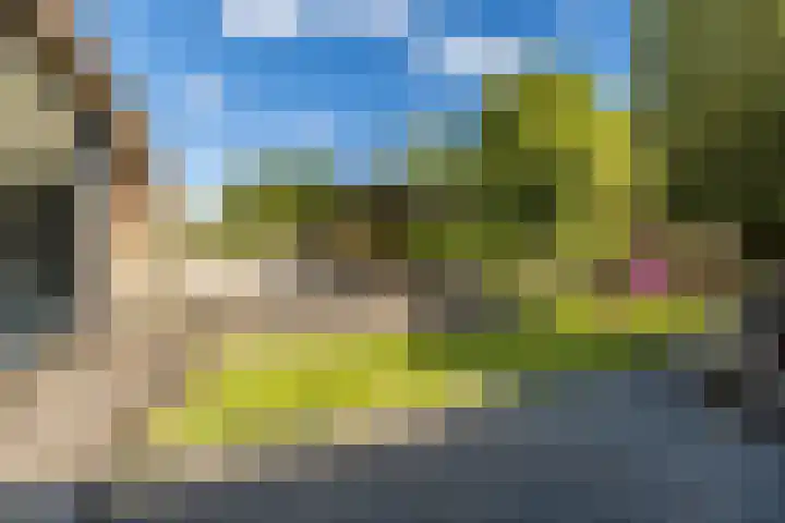 Molenlaan 15 Rotterdam thumbnail 25