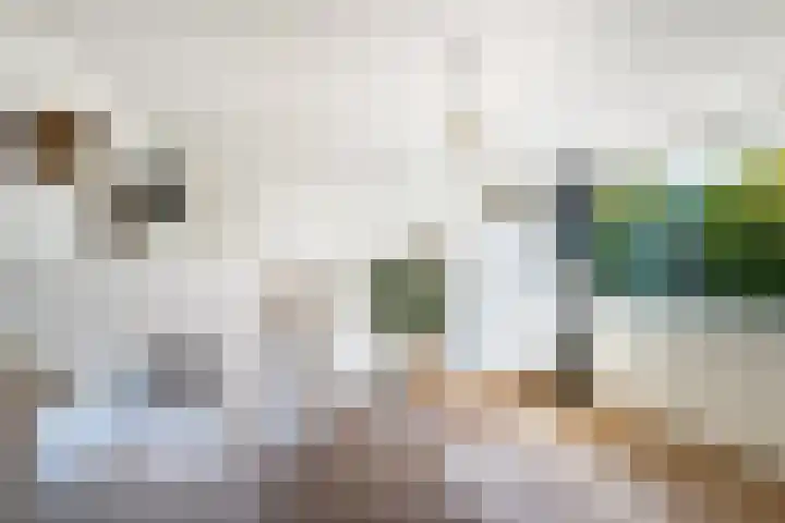 Molenlaan 15 Rotterdam thumbnail 31