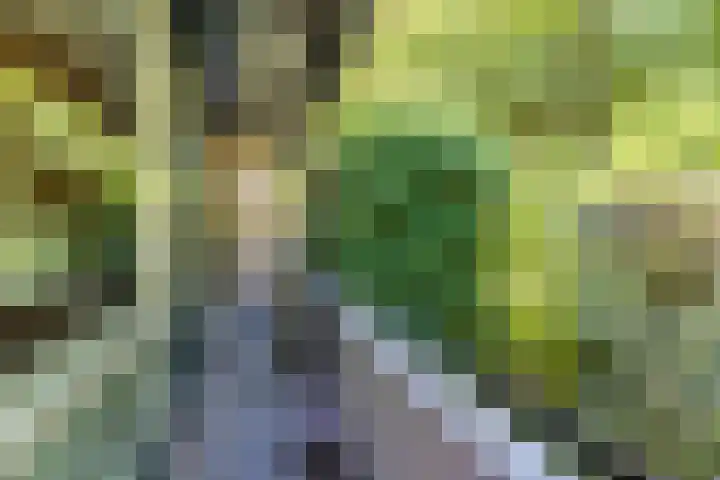 Molenlaan 15 Rotterdam thumbnail 35