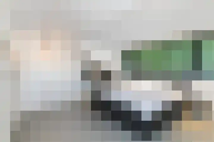 Molenlaan 15 Rotterdam thumbnail 39