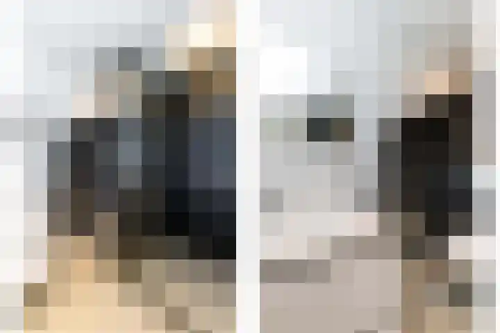 Molenlaan 15 Rotterdam thumbnail 43