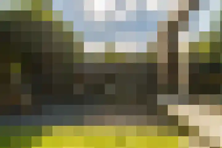 Molenlaan 15 Rotterdam thumbnail 44