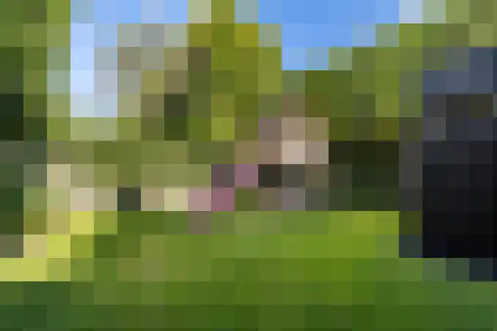Molenlaan 15 Rotterdam thumbnail 45
