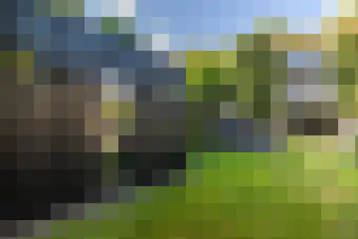 Molenlaan 15 Rotterdam thumbnail 47