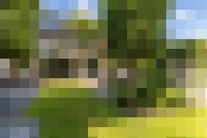Molenlaan 15 Rotterdam thumbnail 48