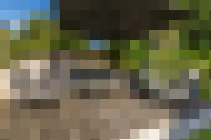 Molenlaan 15 Rotterdam thumbnail 49