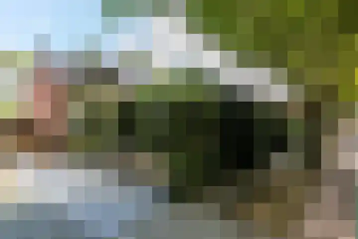 Molenlaan 15 Rotterdam thumbnail 5