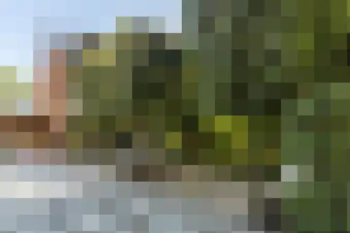 Molenlaan 15 Rotterdam thumbnail 50
