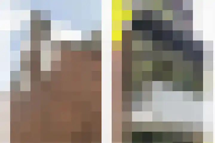 Molenlaan 15 Rotterdam thumbnail 51