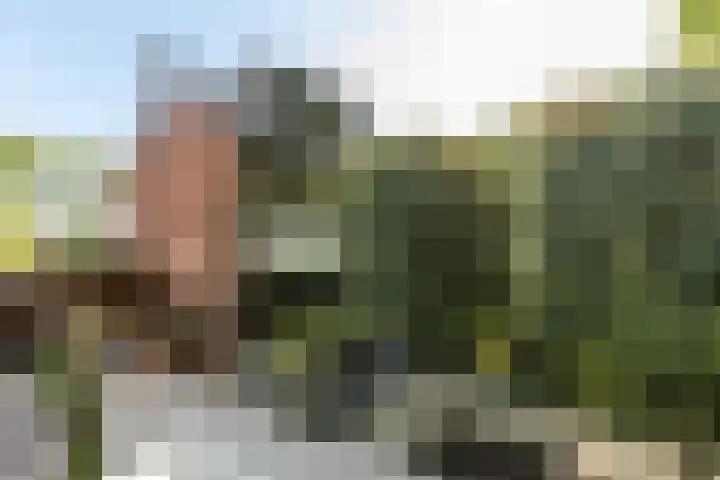 Molenlaan 15 Rotterdam thumbnail 52