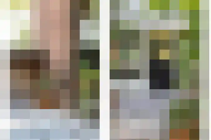 Molenlaan 15 Rotterdam thumbnail 6