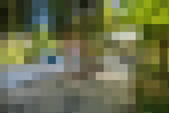 Molenlaan 15 Rotterdam thumbnail 7