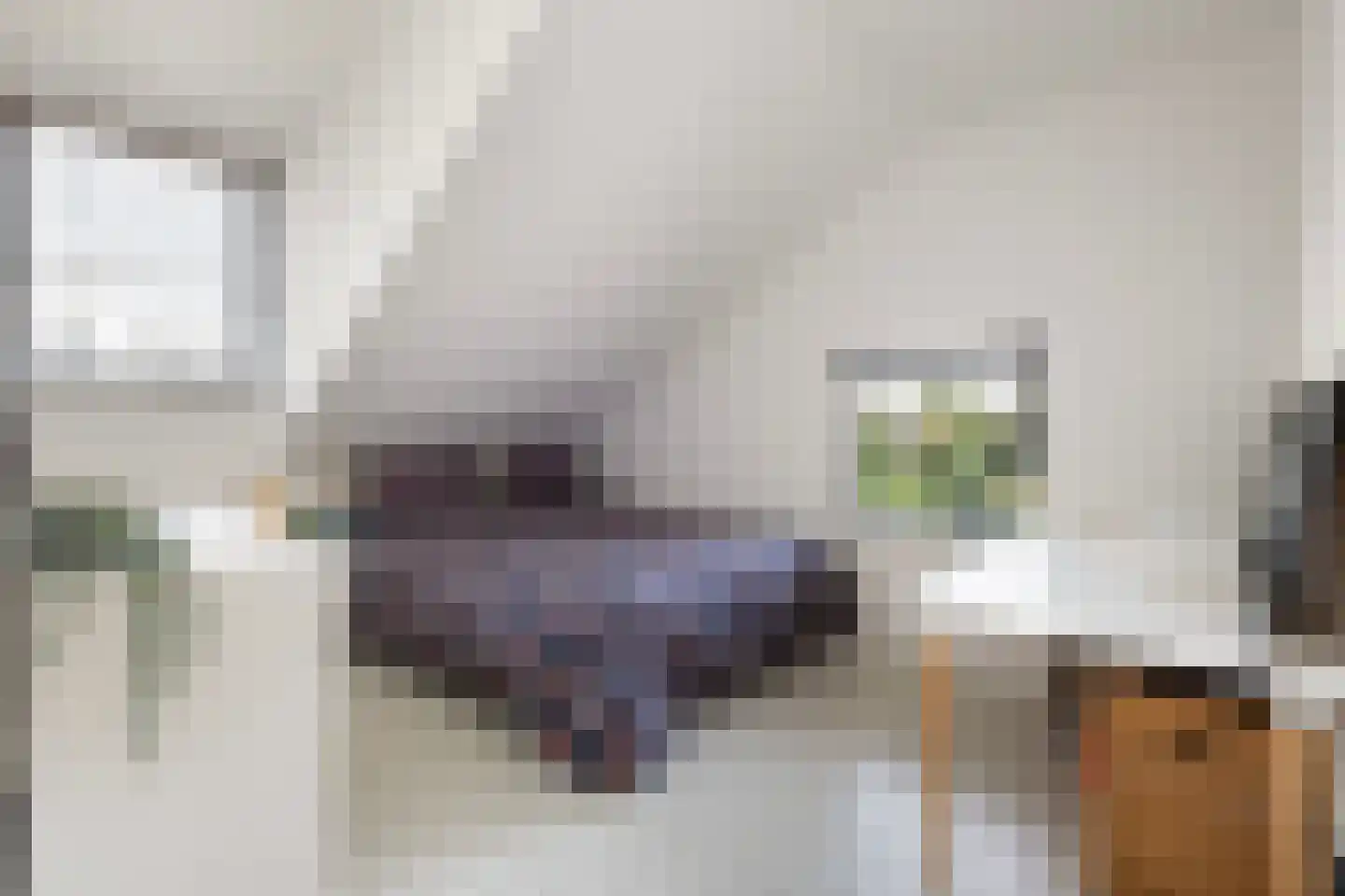 Molenlaan 155 Rotterdam thumbnail 15