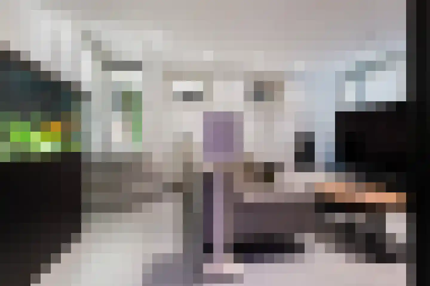 Molenlaan 155 Rotterdam thumbnail 20