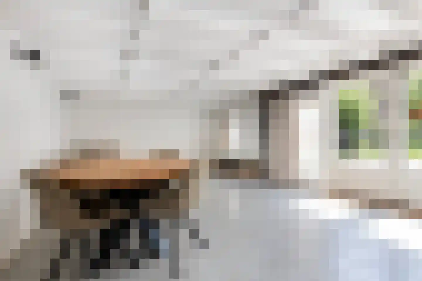 Molenlaan 155 Rotterdam thumbnail 21