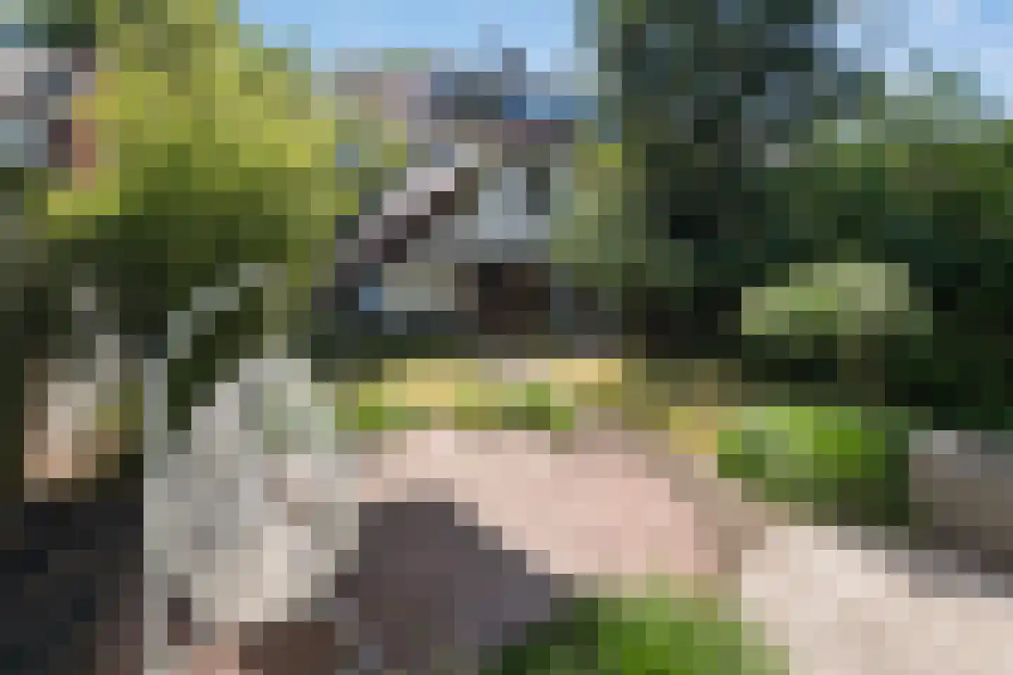 Molenlaan 155 Rotterdam thumbnail 26