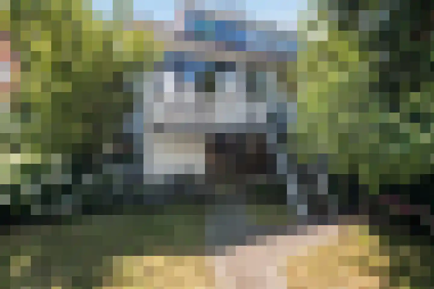 Molenlaan 155 Rotterdam thumbnail 27