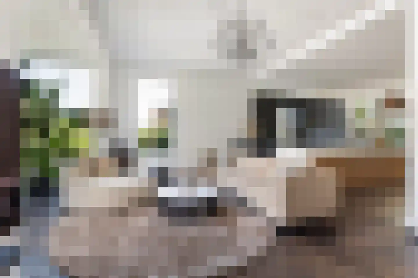Molenlaan 155 Rotterdam thumbnail 4