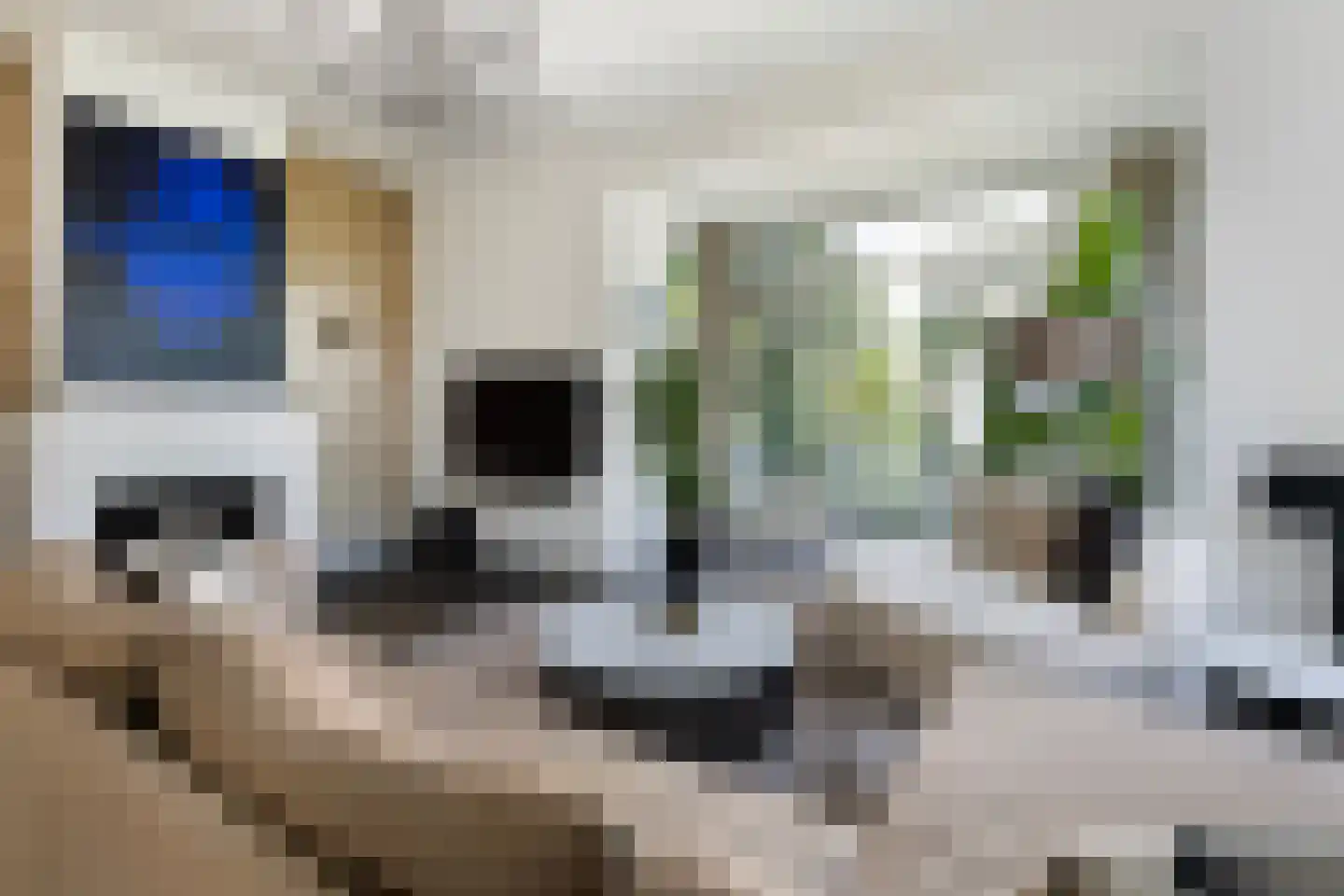 Molenlaan 155 Rotterdam thumbnail 5