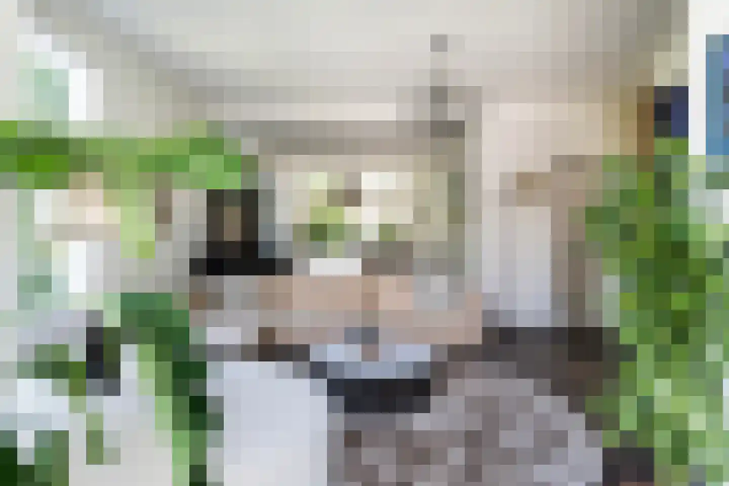Molenlaan 155 Rotterdam thumbnail 6