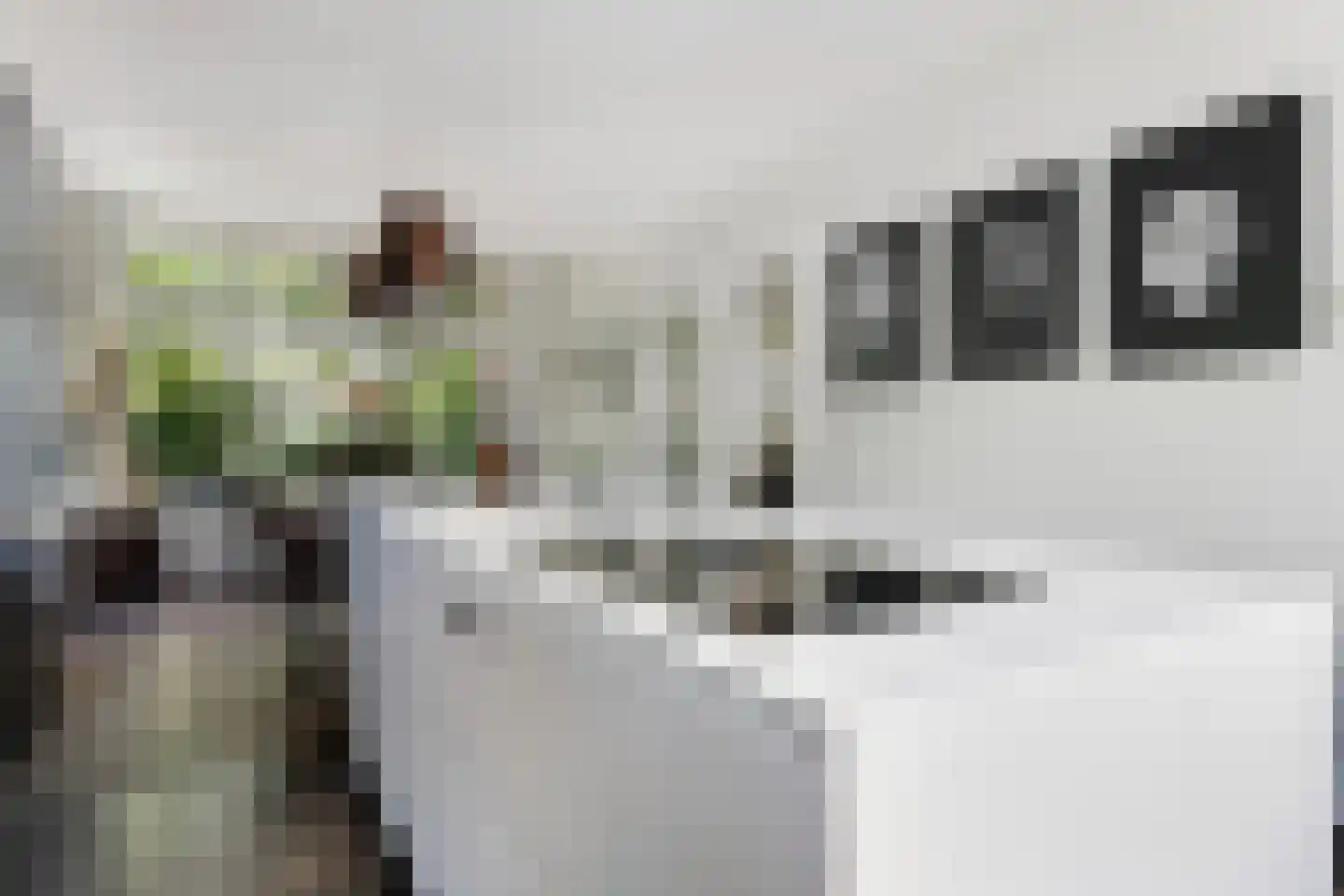 Molenlaan 155 Rotterdam thumbnail 8