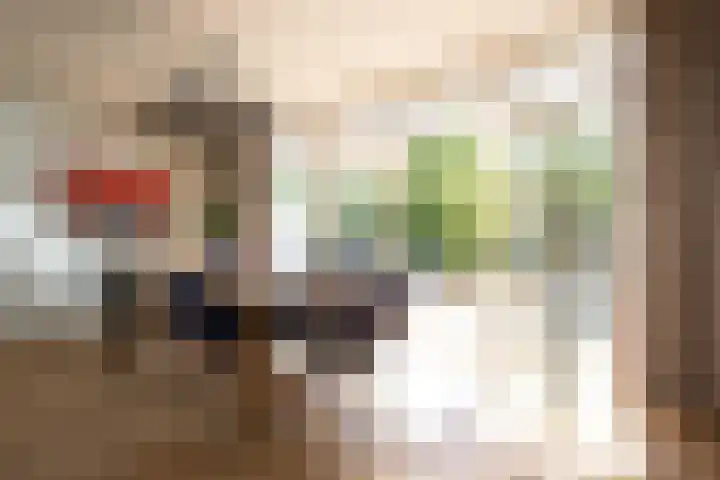 Molenlaan 158 Rotterdam thumbnail 14