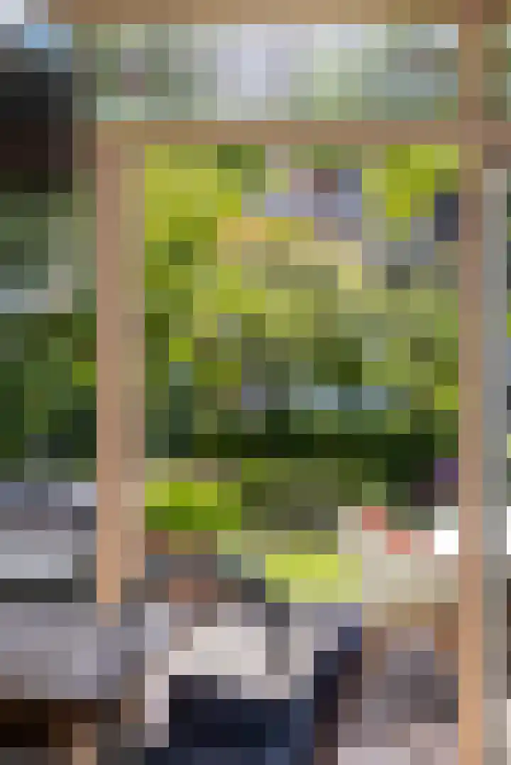 Molenlaan 158 Rotterdam thumbnail 15