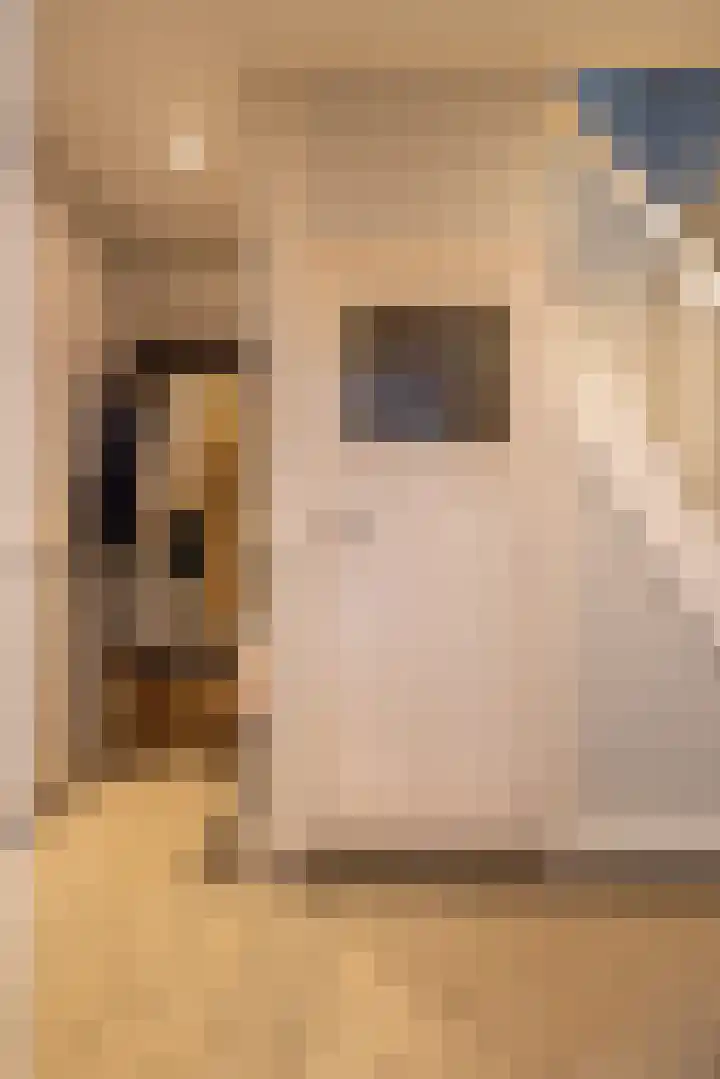 Molenlaan 158 Rotterdam thumbnail 19