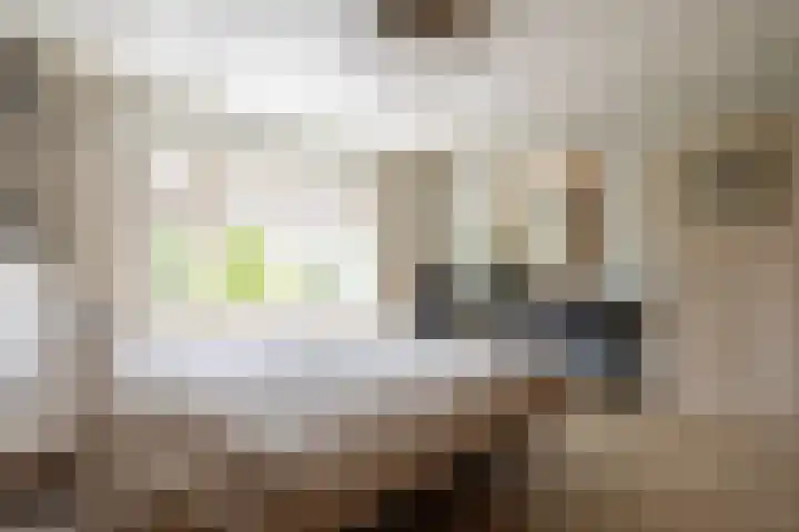 Molenlaan 158 Rotterdam thumbnail 21