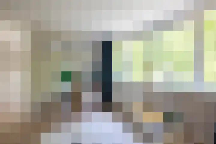 Molenlaan 158 Rotterdam thumbnail 31